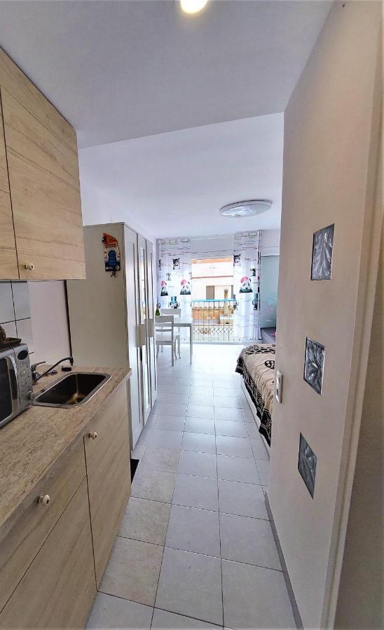 Appartement En El Mar Roses
